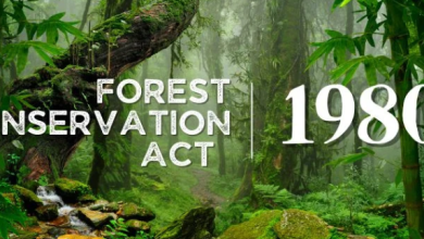 How India Protects Forests Through Law and Green Future Vision 2026