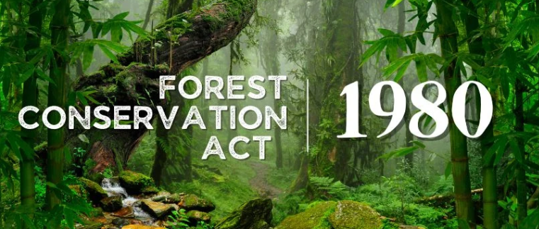 How India Protects Forests Through Law and Green Future Vision 2026 How India Protects Forests Through Law and Green Future Vision 2026