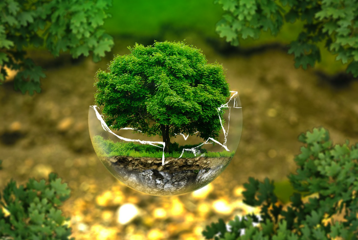 Complete Guide to Environmental Laws and Protection Framework 2026 Complete Guide to Environmental Laws and Protection Framework 2026